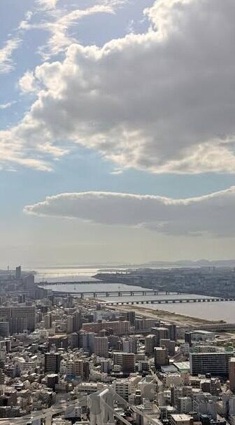 足球 体球 比分-足球与体球交织，比分背后的热血与梦想